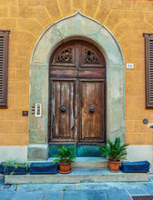 Load image into Gallery viewer, Photographic Print - Porta 88 Pisa