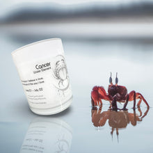 Load image into Gallery viewer, Zodiac Collection