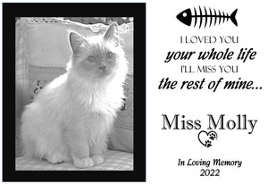 Remembrance: Cat - Loved You Your Whole Life